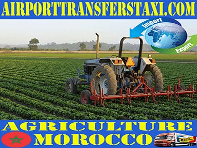 Morocco Exports - Imports Made in Morocco