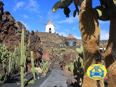 Airport Transfers Taxi Arrecife Lanzarote