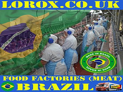 Brazil Best Tours & Excursions - Best Trips & Things to Do in Brazil
