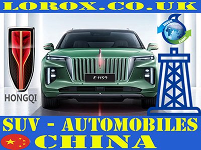 Car Rentals Services 24 hours China - Auto Rentals