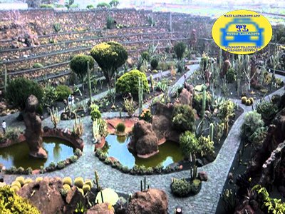 Airport Transfers Taxi Arrecife Lanzarote