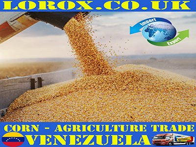 Venezuela Best Tours & Excursions - Best Trips & Things to Do in Venezuela
