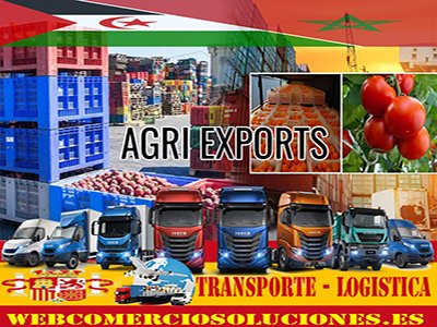 Spain Exports : Olive Oil | Vegetables | Almonds | Automotive Industry - Made in Spain