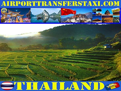 Best Trips & Things to Do in Thailand : Hotels - Food & Drinks - Supermarkets - Rentals - Restaurants Thailand Where the Locals Eat